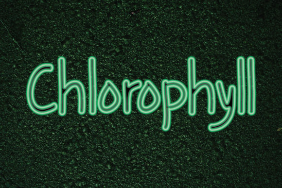 Chlorophyll: A Font That Breathes Life Into Your Creations