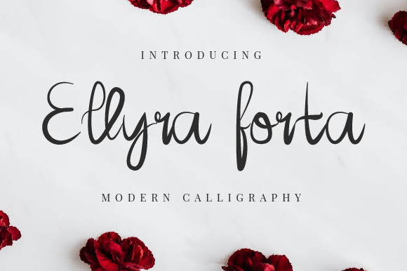 Ellyra Forta: A Font That Elevates Your Brand