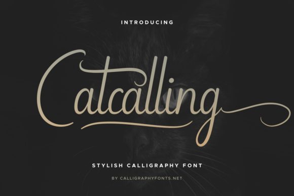 Enhance Your Brand with the Catcalling Font