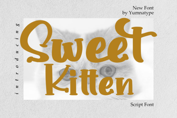 Enhance Your Web Design with Sweet Kitten